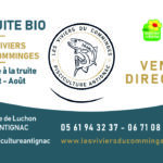 Carte visite