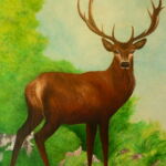 commerce-mandalyna-deco-luchon-pyrenees31