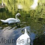 appartement 5-carnielli-environs-luchon-pyrenees31