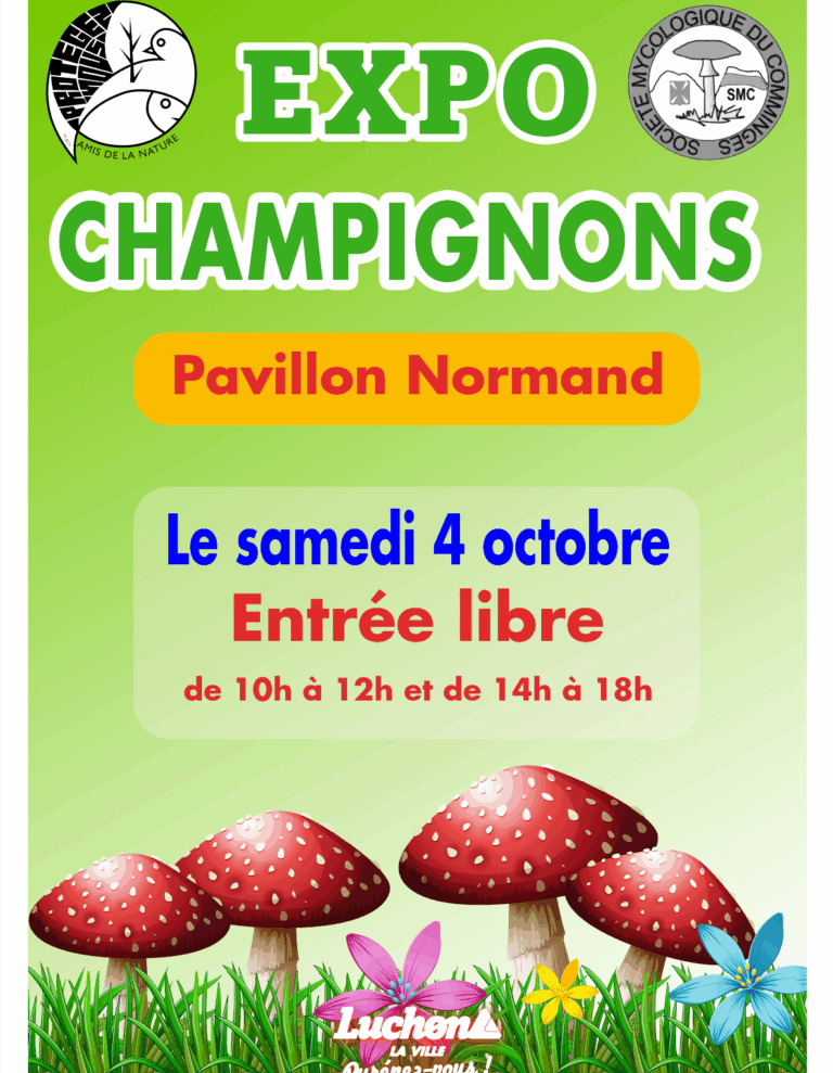 expo-champignons-luchon-pyrenees31