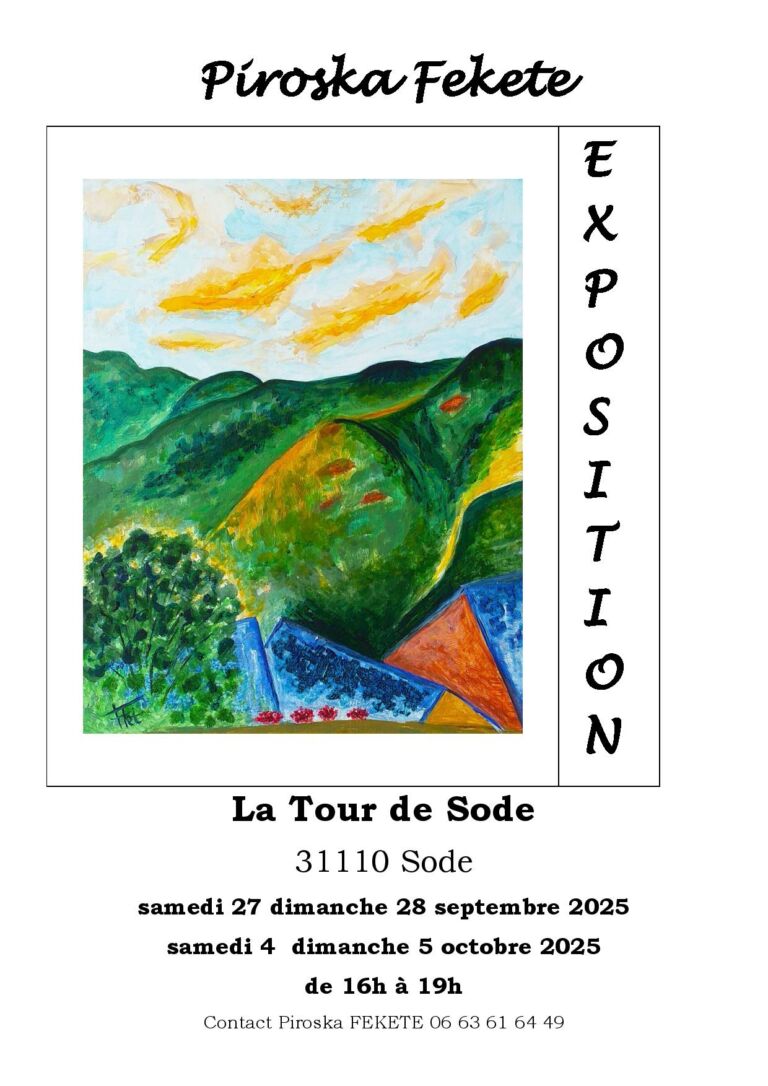 exposition-sode-pyrenees31