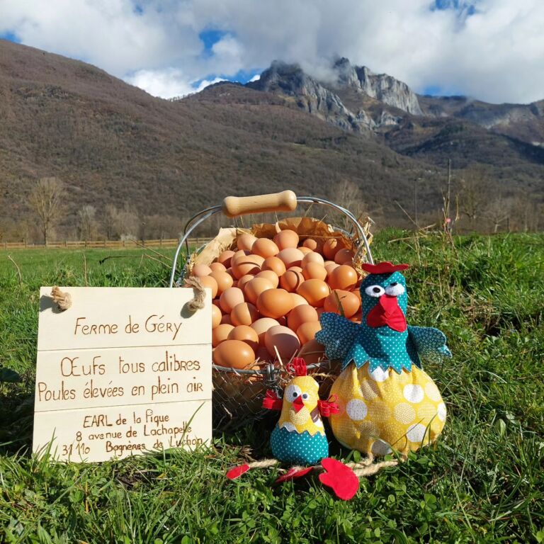 ferme-gery-saint-beat-lez-oeuf-boeuf-pyrenees31