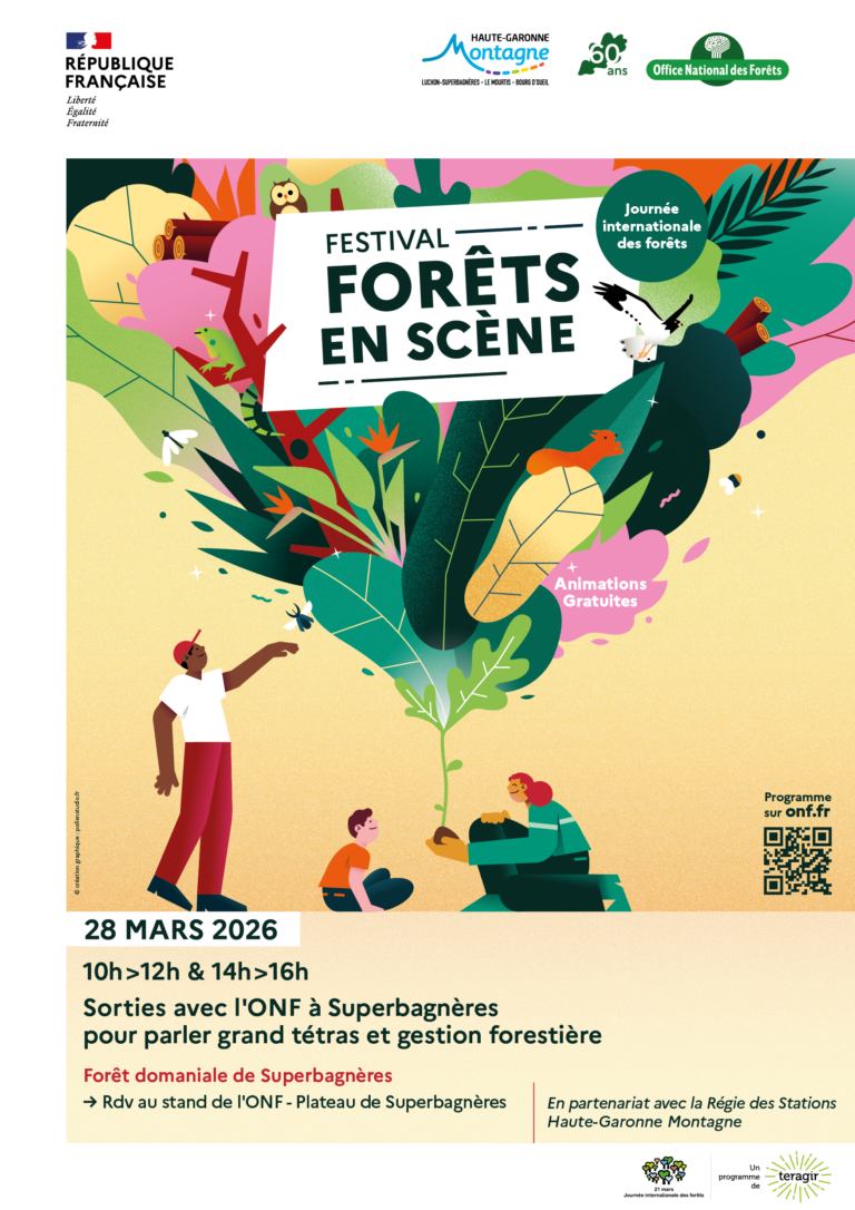 foretenscene-superbagneres-pyrenees31