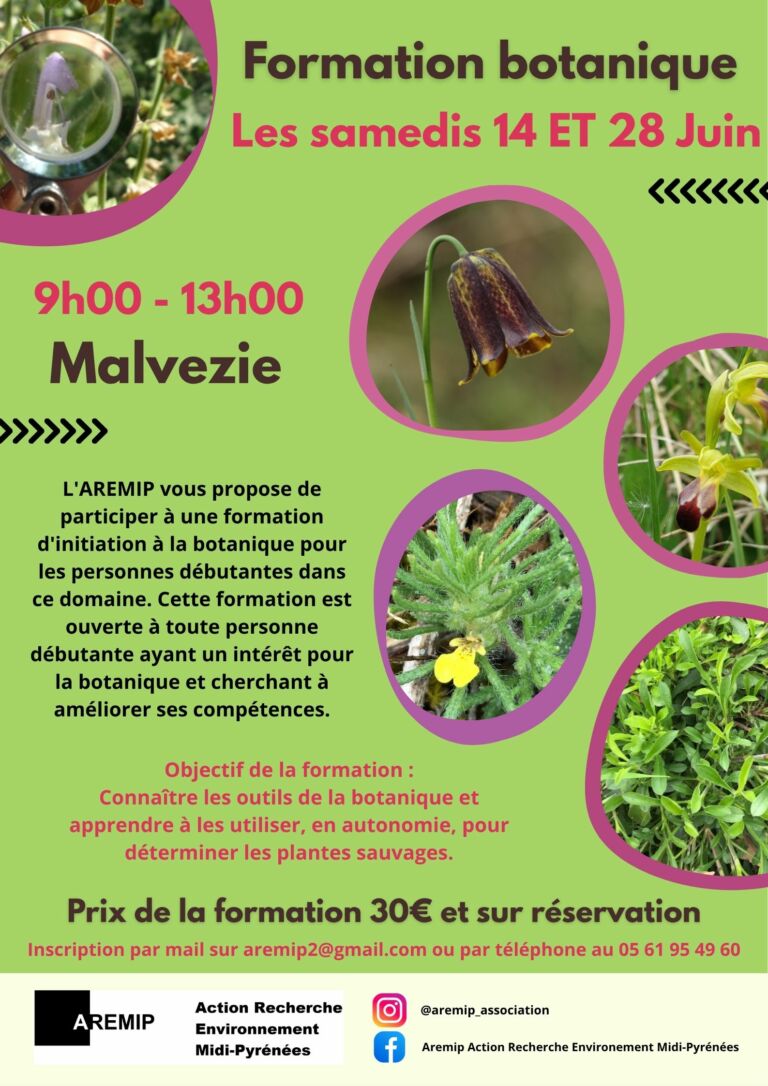 Affiches A2 - 4