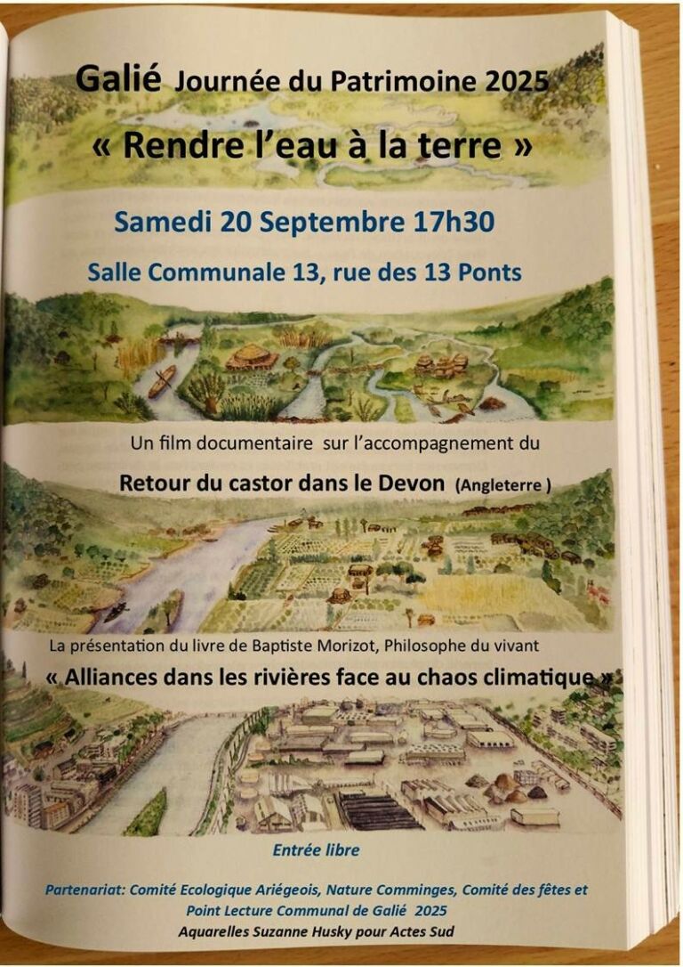 journee-patrimoine-galie-pyrenees31