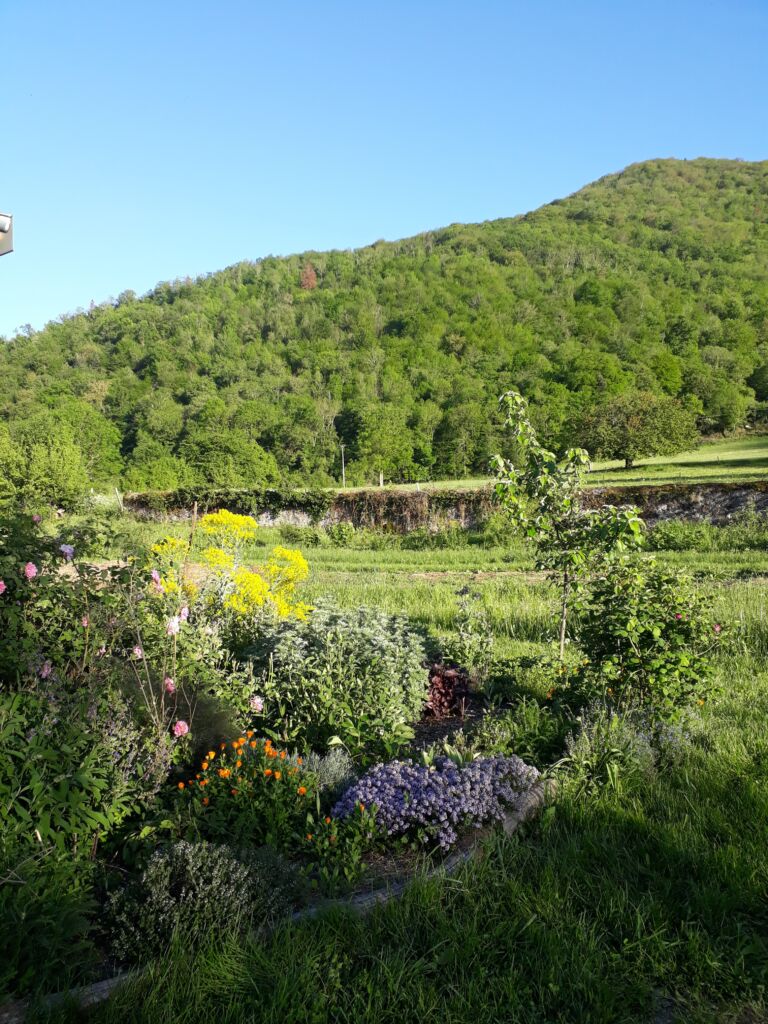 la-pepiniere-le-jardin-de-heyrech-sauveterre-de-comminge-pyrenees31 (6)