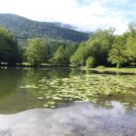 Lac St Pé d'Ardet Nénuphars