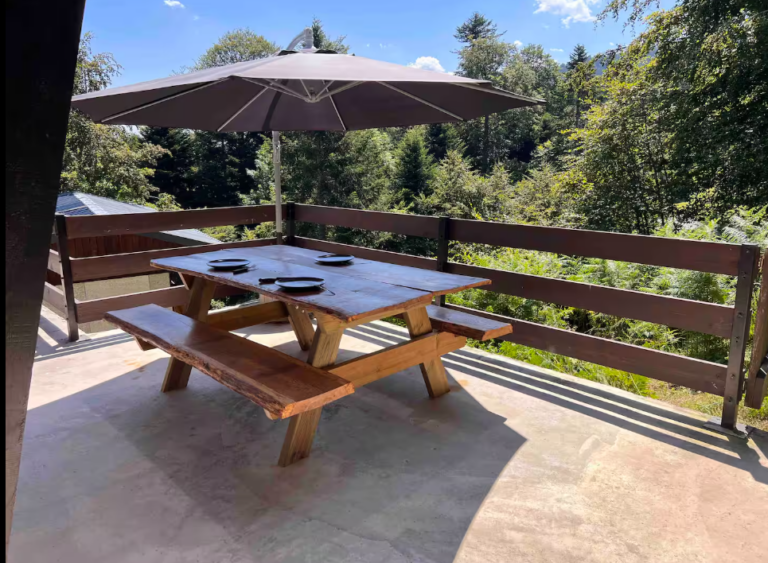le-chalet-vue-table-mourtis-boutx-pyrenees31