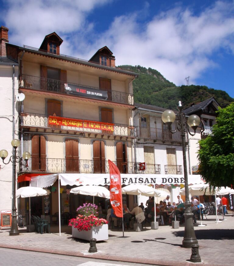 le faisan doré
