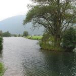 le-ruisseau-antignac-luchon-3 truite luchonnaise