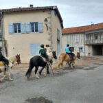 les-destriers-de-saint-bertrand-de-comminges-pyrenees31 (1)