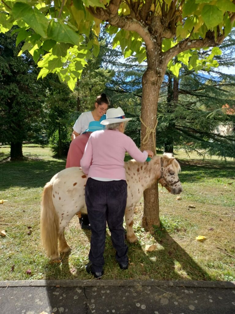 les-destriers-de-saint-bertrand-de-comminges-pyrenees31 (10)