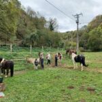 les-destriers-de-saint-bertrand-de-comminges-pyrenees31 (11)