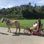 les-destriers-de-saint-bertrand-de-comminges-pyrenees31 (8)