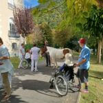 les-destriers-de-saint-bertrand-de-comminges-pyrenees31 (9)