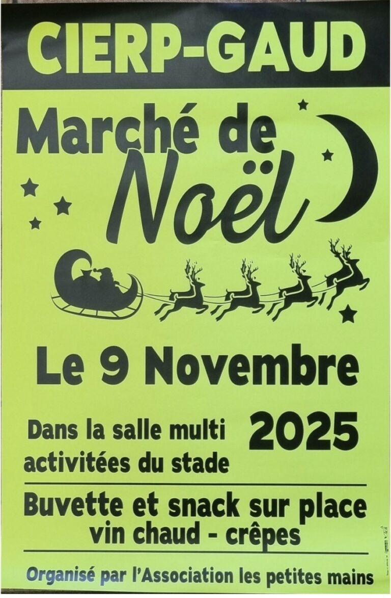 marche-noel-cierp-gaud-pyrenees31