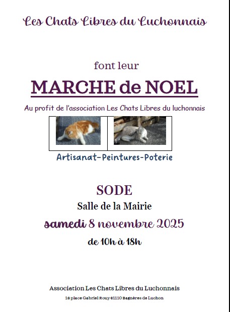 marche-noel-sode-pyrenees31