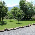 Papilio-jardin-juzet-de-luchon-pyrenees31