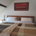 Papilio-chambre-juzet-de-luchon-pyrenees31