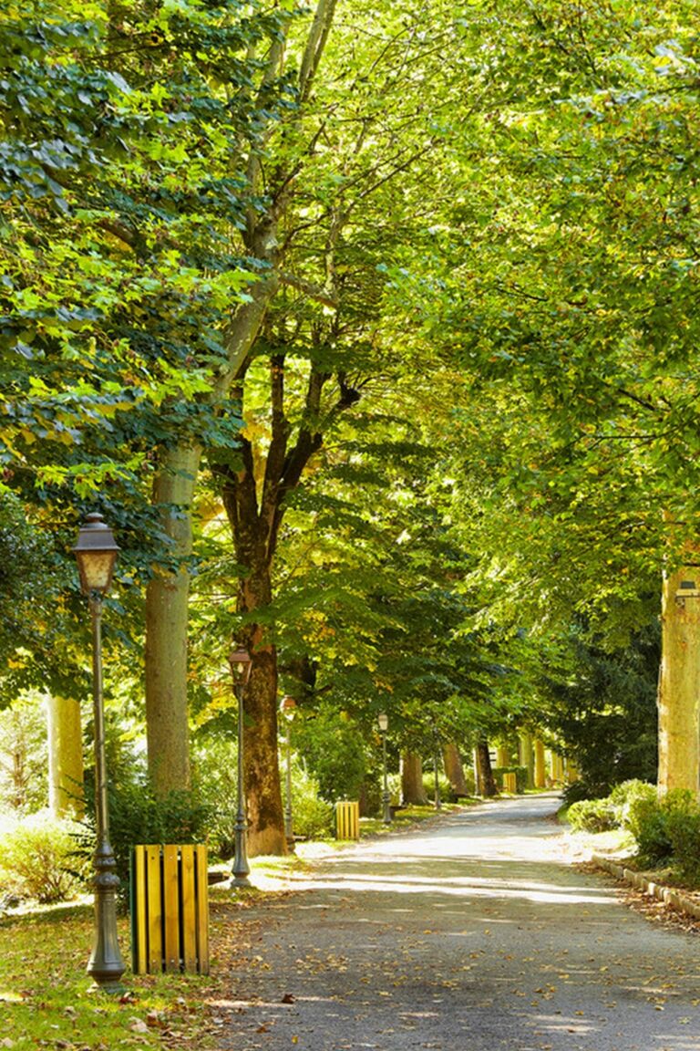 parc quinconces BAGNERES DE LUCHON