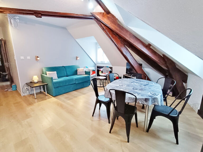 appartement-campanule-mauro-salon-luchon-pyrenees31