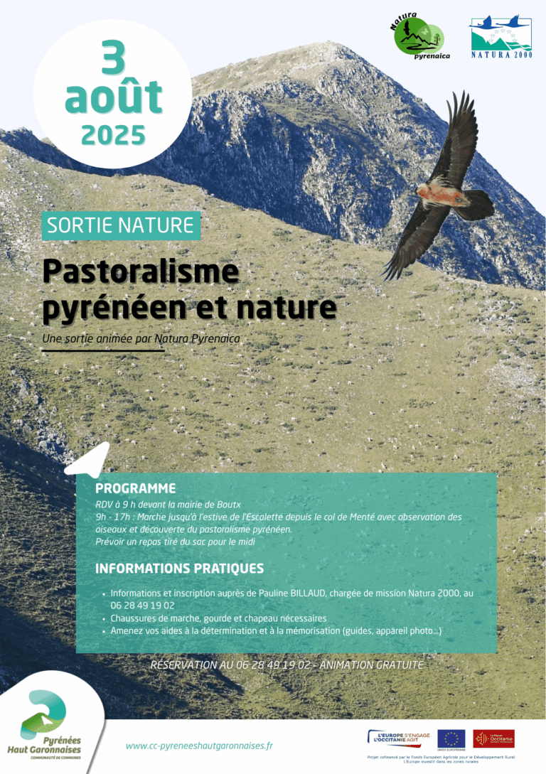 Flyer Animation Boutx - 1