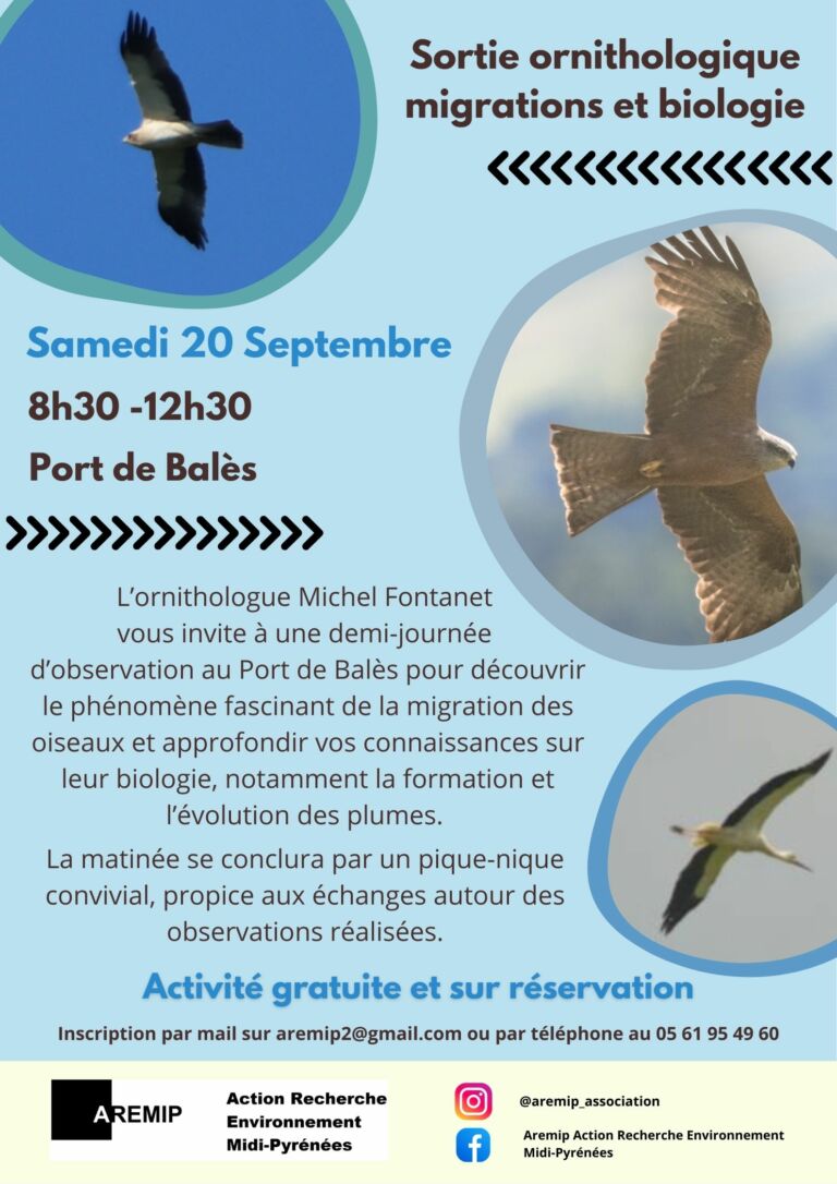 Sortie ornithologique