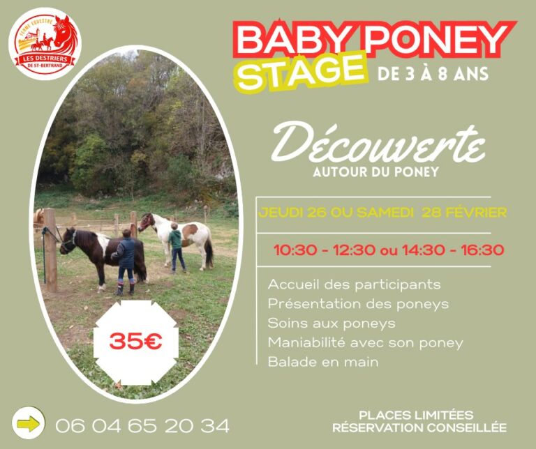 stage-poney-fevrier-destriers-pyrenees31