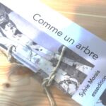 SylvieMorais-ArtRechercheCreation-CierdeRiviere-Pyenees31