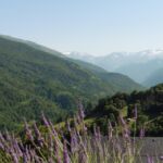 chalet-barraou-vue-fleur-binos-pyrenees31